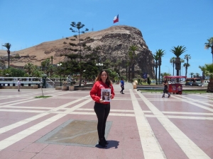 SERNATUR ARICA Y PARINACOTA incentivar&aacute; la promoci&oacute;n, capacitaci&oacute;n, innovaci&oacute;n y conciencia tur&iacute;stica