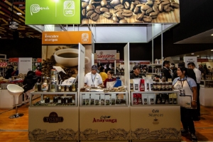 Per&uacute; es el segundo exportador de caf&eacute; org&aacute;nico del mundo