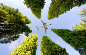 IATA a&ntilde;ade sostenibilidad medioambiental a su plan de estudios de formaci&oacute;n