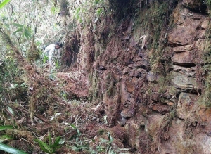 Hallan restos de ciudadela Inca en el l&iacute;mite de Calca y La Convenci&oacute;n en el Cusco