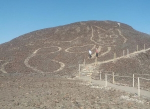 Conoce la nueva y gigantesca figura de felino en las L&iacute;neas de Nasca