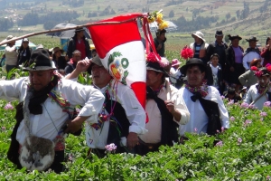 Con concurso ancestral de cultivo de papa se inicia carnaval Huanca en Jun&iacute;n