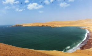 Hoteles de Paracas al 50 por ciento de aforo durante Semana Santa