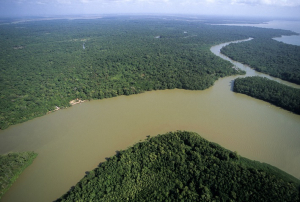 Estados Unidos y Noruega apoyarán al Perú para proteger la Amazonía