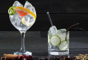 D&iacute;a del Gin Tonic: &iquest;este coctel naci&oacute; en el Per&uacute;?