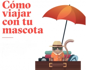 &iquest;C&oacute;mo viajar con tu mascota?
