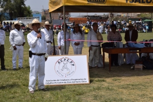 Huaral en busca de ser l&iacute;der en concursos de caballos de paso en nuestro pa&iacute;s
