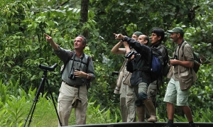 Per&uacute; es nombrado en China como mejor destino del mundo para observaci&oacute;n de aves
