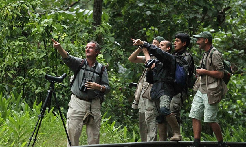 Per&uacute; es nombrado en China como mejor destino del mundo para observaci&oacute;n de aves