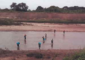 Extranjeros intentan ingresar al pa&iacute;s por plantaciones agr&iacute;colas