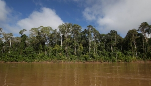 Declaratoria de emergencia en Tambopata no afecta la actividad tur&iacute;stica