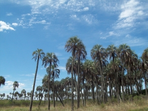 Col&oacute;n, Argentina