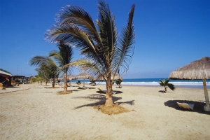 Cadenas hoteleras Meli&aacute;, Sheraton y Hilton quieren invertir en Tumbes