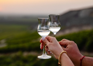 &lsquo;Pisco, Spirit of Per&uacute;&rsquo; se promocionar&aacute; en Europa, Asia, Latinoam&eacute;rica y Estados Unidos
