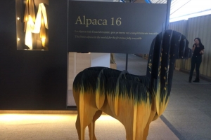 Arequipa desarrolla la fibra de alpaca m&aacute;s fina del mundo