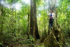 D&iacute;a Mundial del &Aacute;rbol: &iquest;Por qu&eacute; nos cuesta tanto valorar a los &aacute;rboles?