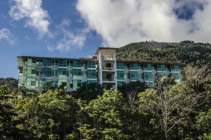 Guizado portillo: Una buena alternativa de hospedaje en la selva central
