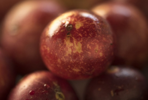 Vogue destaca beneficios de Camu Camu para consumidor alem&aacute;n