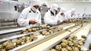 Exportadoras peruanas alcanzar&iacute;an las 8 mil empresas en el 2018
