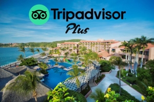 Barcel&oacute; Hotel Group, primera cadena hotelera espa&ntilde;ola en unirse a TripAdvisor Plus