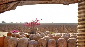 Este misterioso vino es la nueva arma del boom gastron&oacute;mico peruano