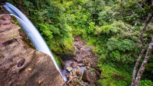 Ca&ntilde;o Cristales, el antiguo "balneario" de las FARC ahora se abre al turismo