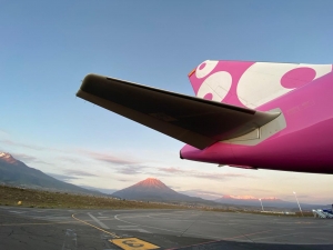 Viva Air da a conocer las 10 ideas finalistas de su reto de innovaci&oacute;n en tiempos de Covid-19